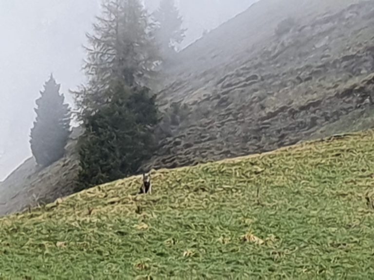 4aa795f0-b3bd-4545-bb5b-222391108a0d