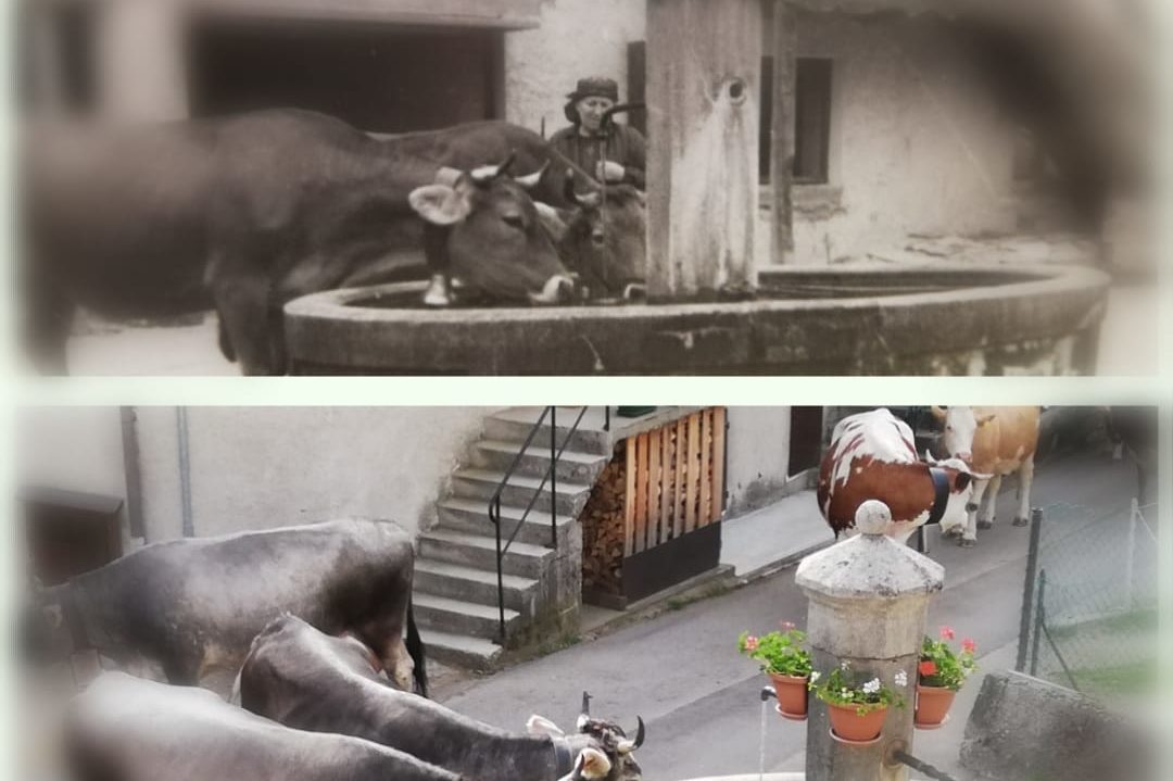 4ca82896-f8f7-4cbe-adf3-f020cb8288a7