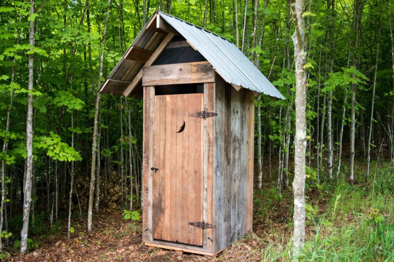 BAGNO BOSCO