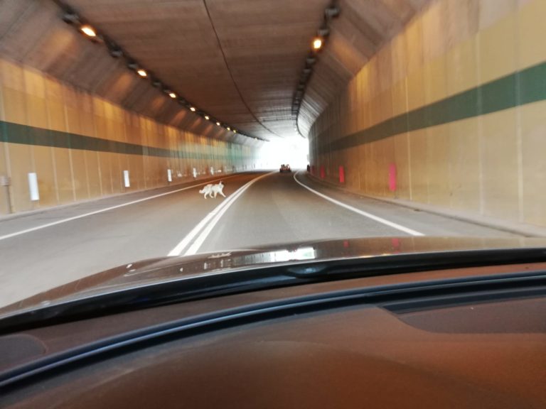 WhatsApp Image 2020-05-25 at 08.18.18