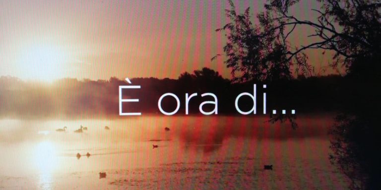 cc14ae96-9204-45b1-8333-b57c10c49c0a