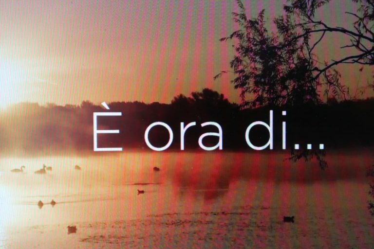 cc14ae96-9204-45b1-8333-b57c10c49c0a