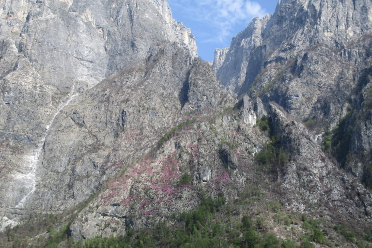 eriche san lucano 1