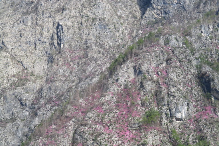 eriche san lucano 2