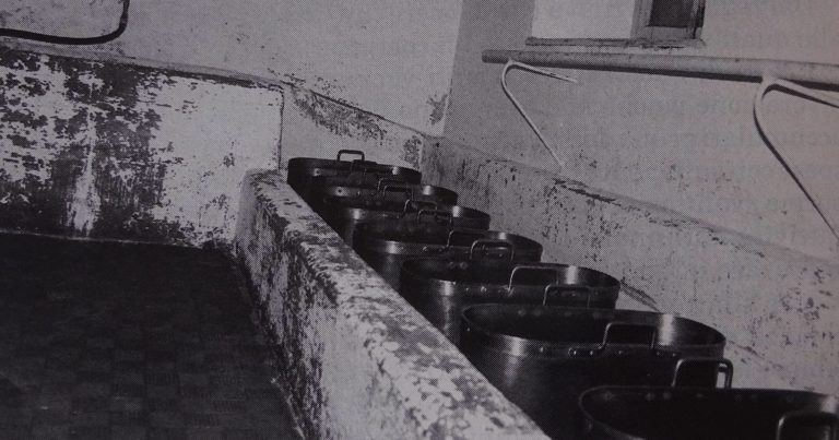 101539806_200476964395679_5131365164183977984_n