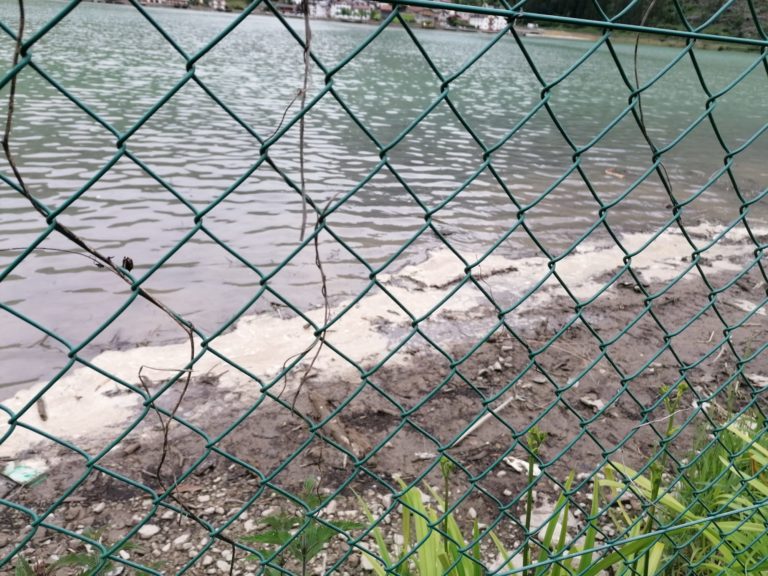 2589a50c-c74f-4266-8685-76b6bcbbda6c