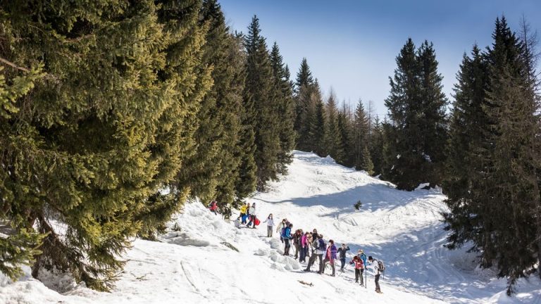 331569072_242513624792105_2385384230339396135_n