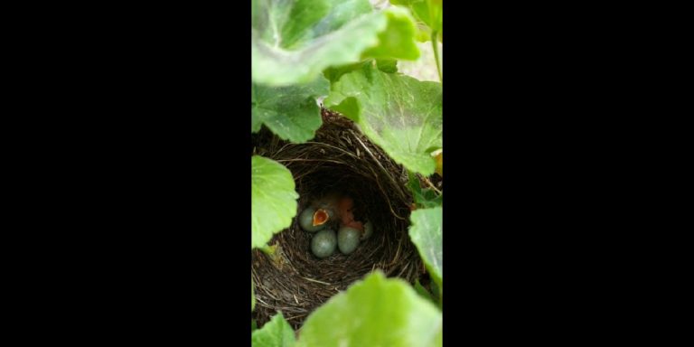 4bd956f4-cfd8-41fe-a6c2-fdb89b822261