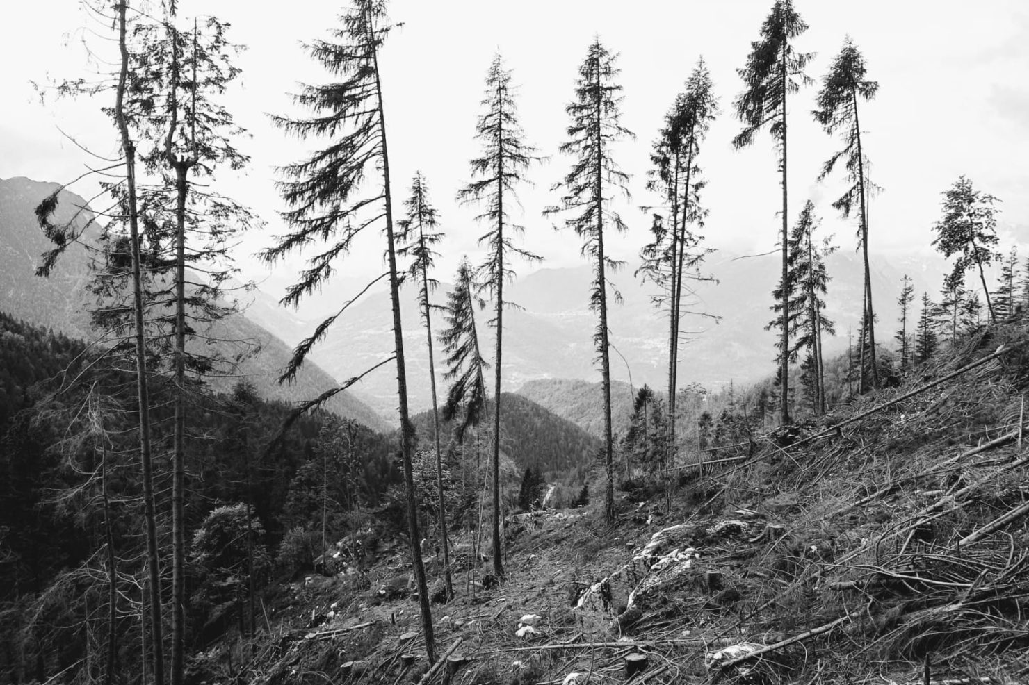 58fb8bc7-e9cb-46e2-a1d6-73ec6db70d97