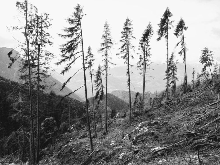 58fb8bc7-e9cb-46e2-a1d6-73ec6db70d97