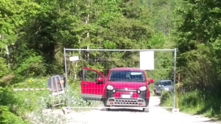 WhatsApp Image 2020-06-02 at 11.46.26