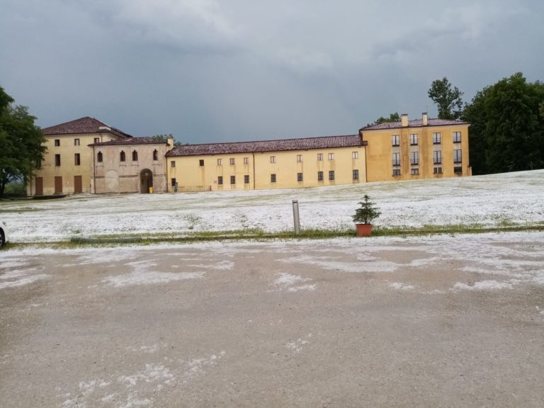 a5d0c1ea-8c06-4b17-ac9c-56fc0de5bd63