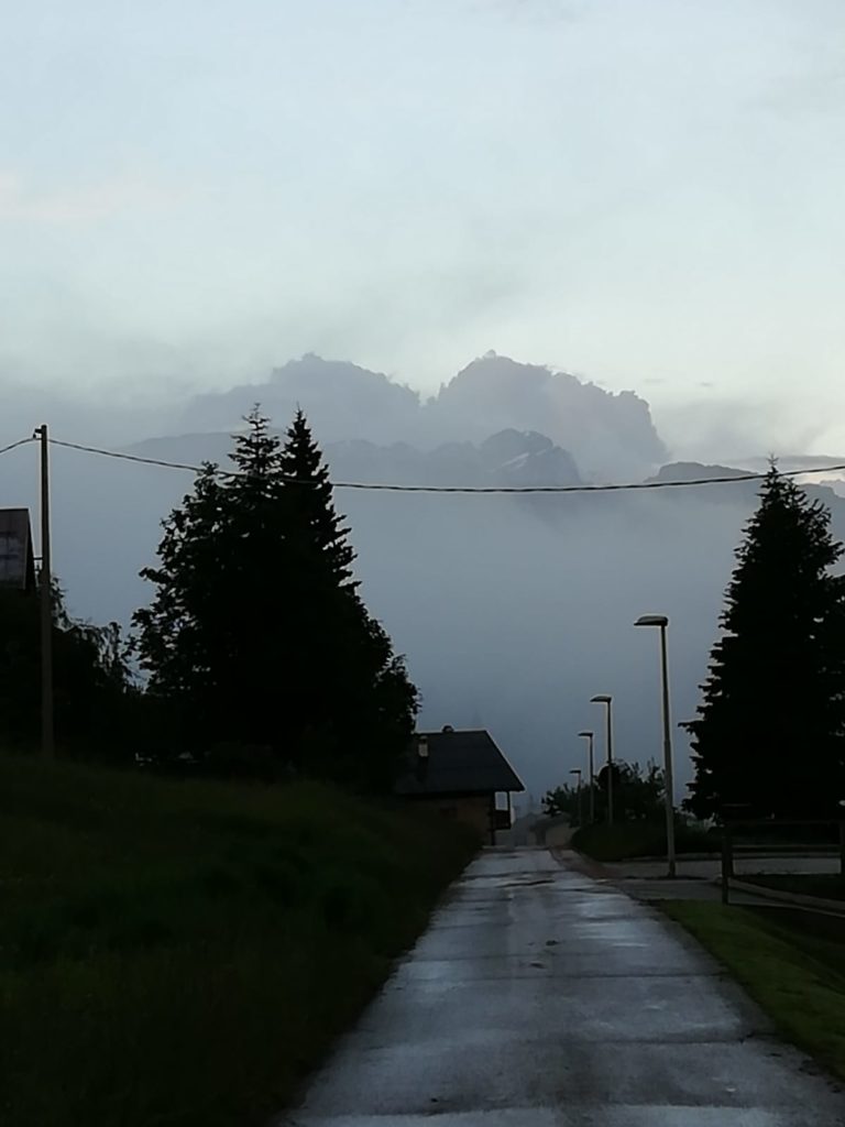 d121b71b-7da9-430e-b612-6571057f031f