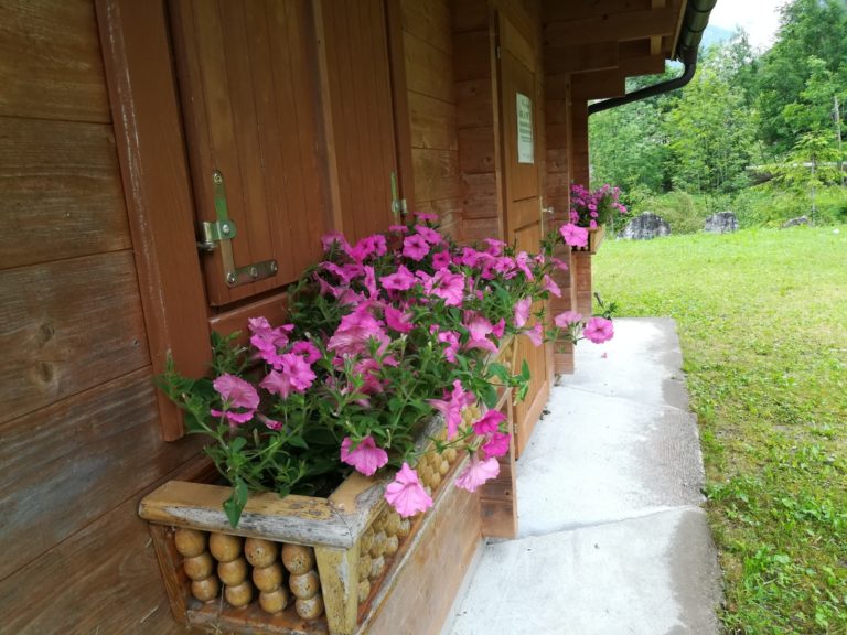 dc14b499-deb3-4436-86b0-bf7c25f41bc4