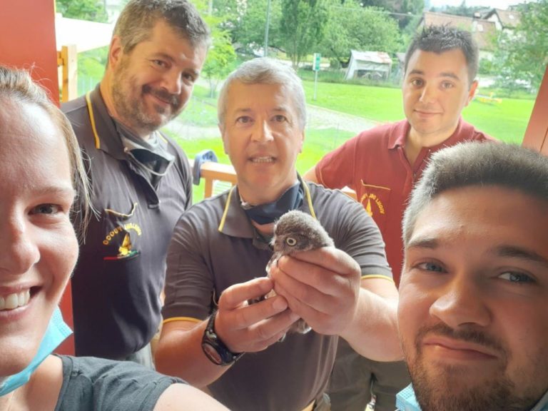 photo_2020-06-29_12-58-49