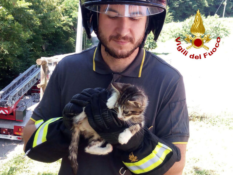 03aa1d05-babb-4bee-9a49-3a8498a21fe5