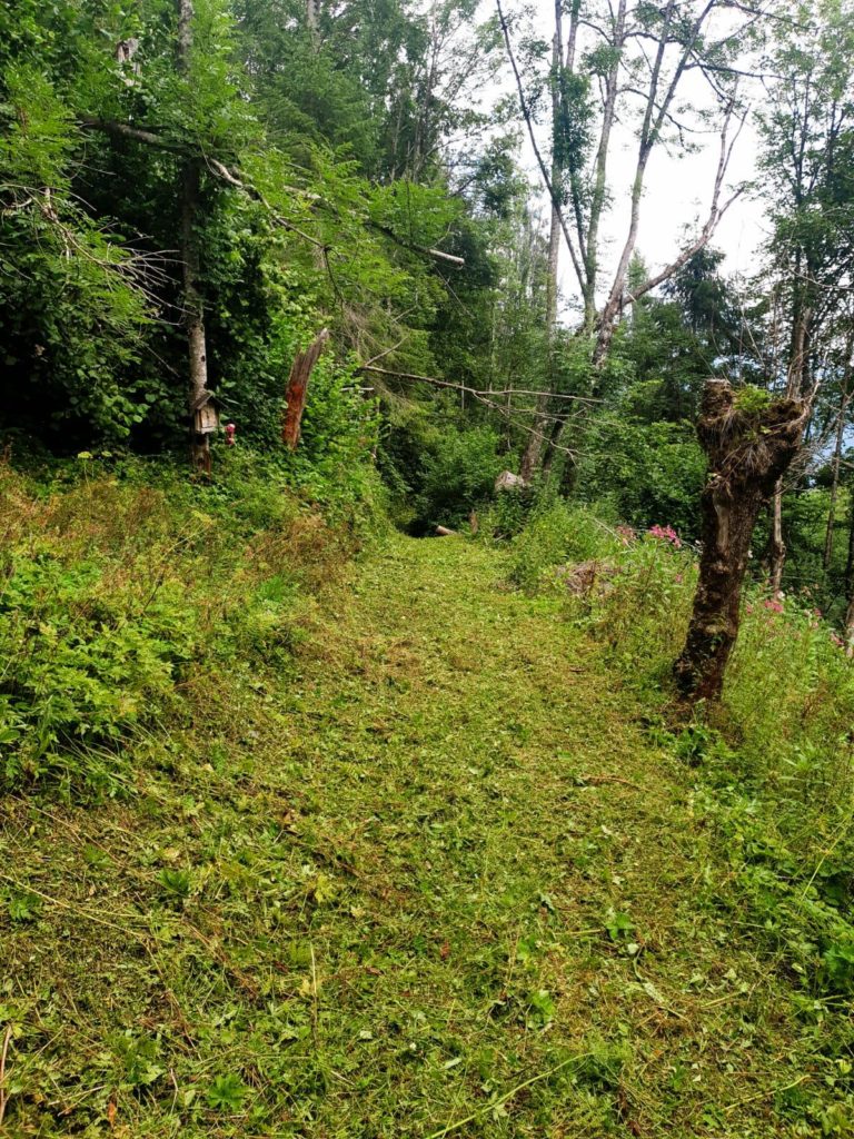 0d7234ee-1f7f-4ba9-93eb-e9534cf4de36