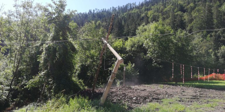 674b7a49-55d7-4558-b4b9-cfc550d2a4fd