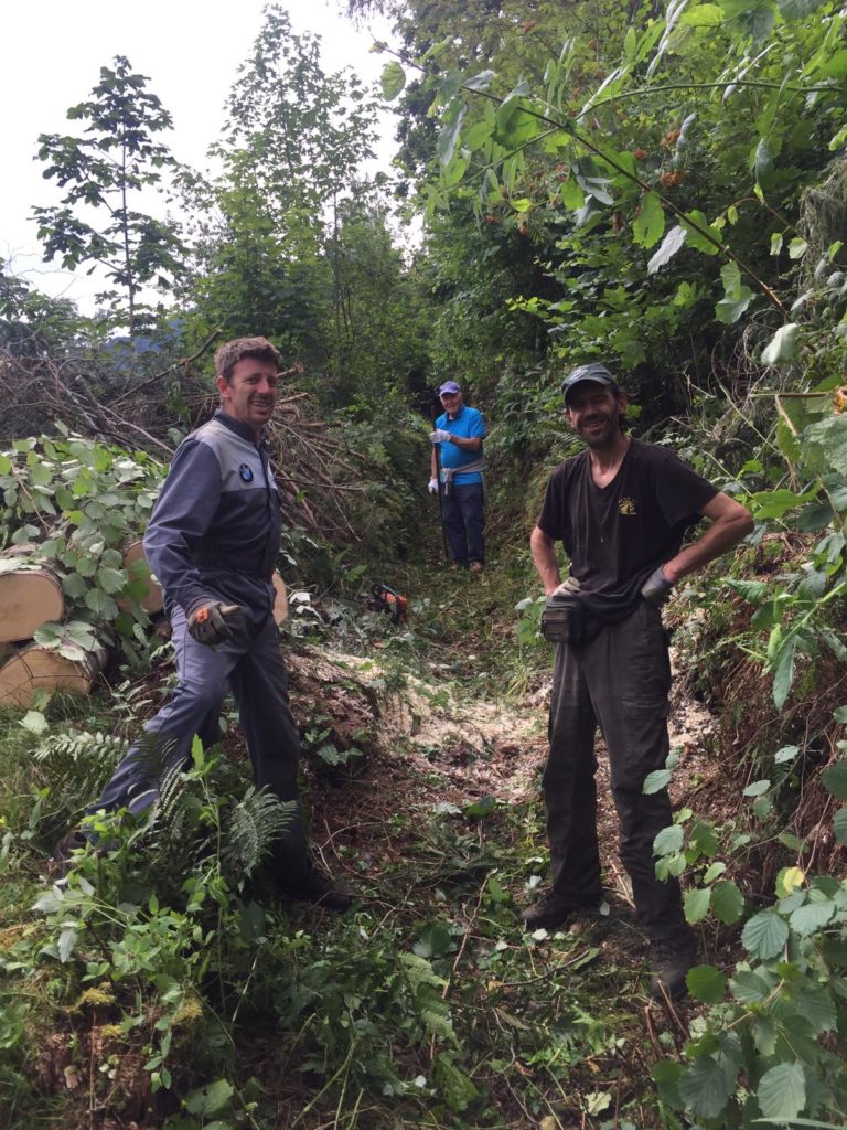 923a4b5f-1be3-4dd5-96e4-0f62b4106e32