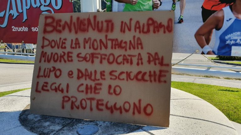 97771d9c-1ef0-4bfc-9265-bc57076250de