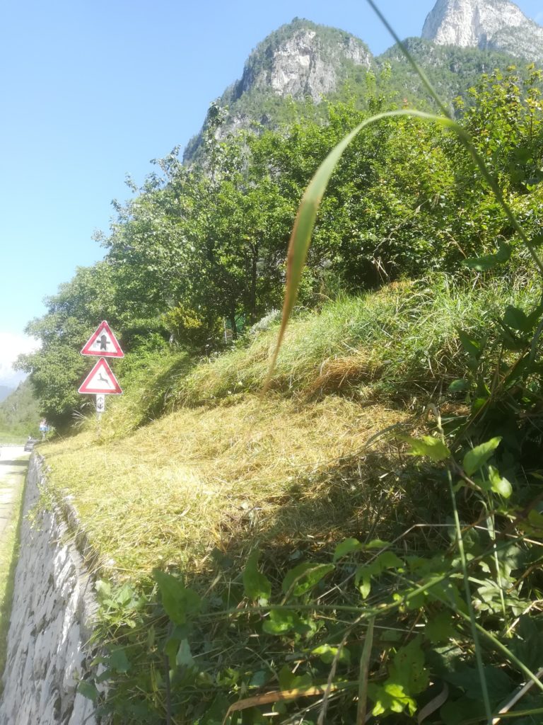 L’incompiuta di Veneto Strade