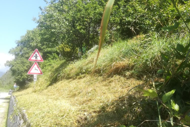 L’incompiuta di Veneto Strade