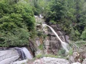 b3f3af58-81e1-46cd-8364-5929bd77ced5