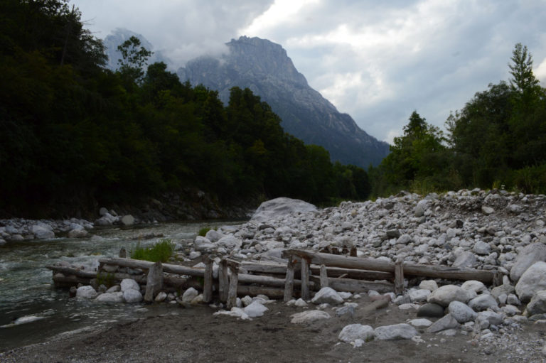 bff0c605-e6af-49f3-ab79-56aad83d929c