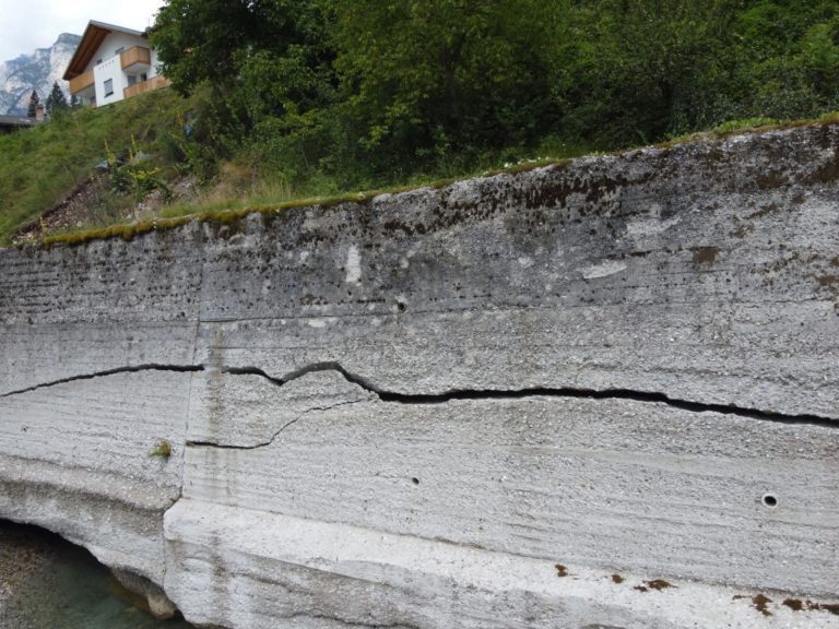 f22ff44e-db11-4fea-9454-58c8993ae273