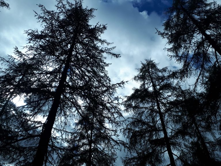 f597f750-a3ae-4568-9a3f-1e5582190805