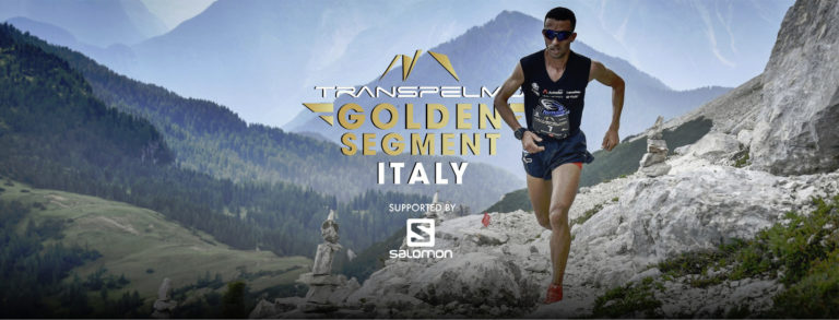 golden segment – transpelmo 2020