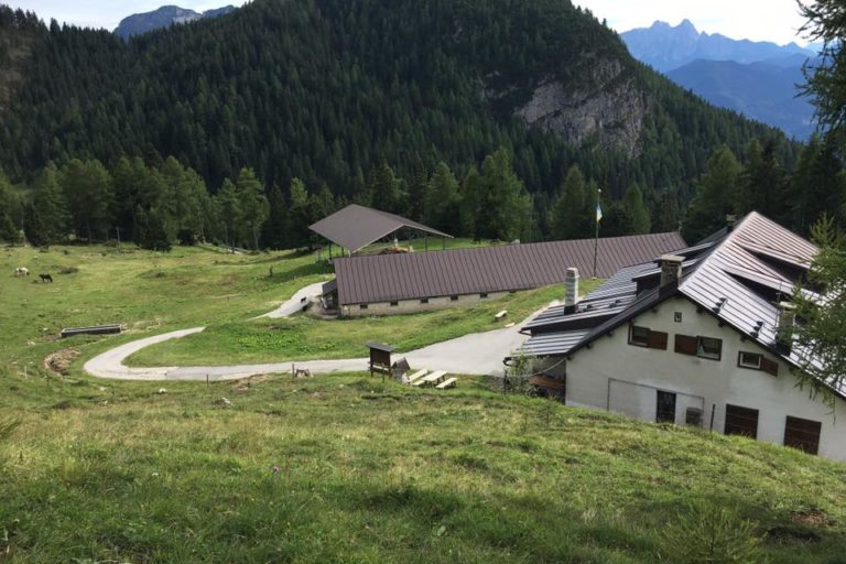 malga caleda