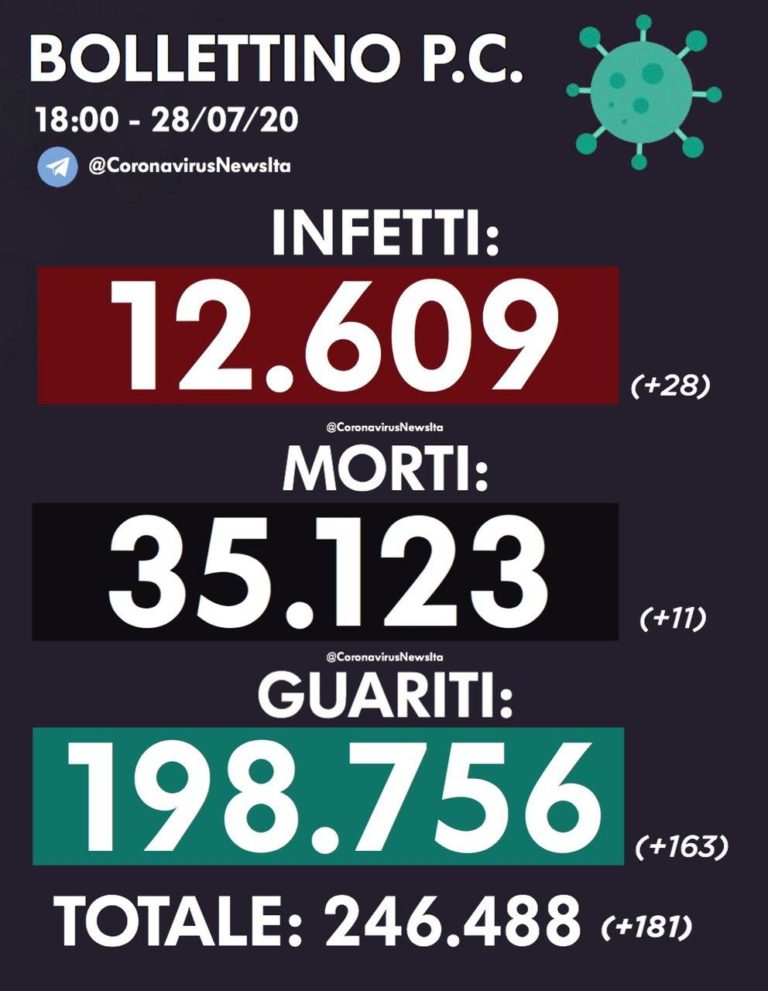 photo_2020-07-28_17-40-41