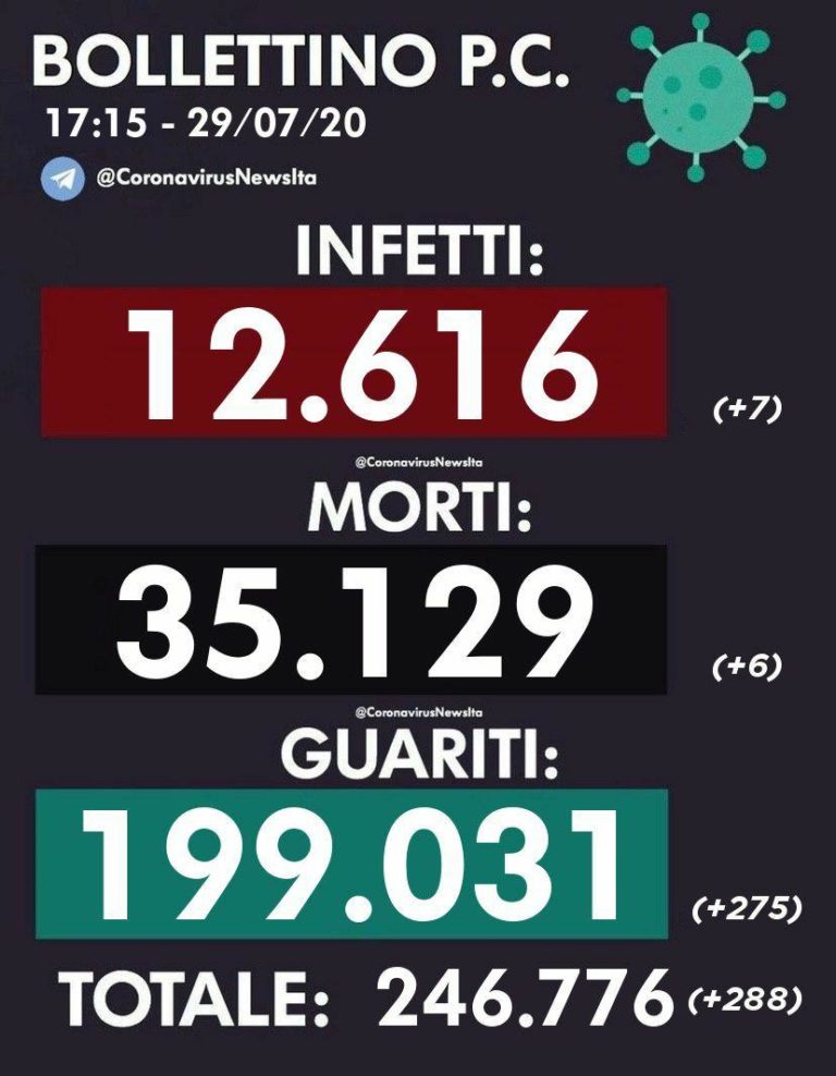 photo_2020-07-29_17-19-23