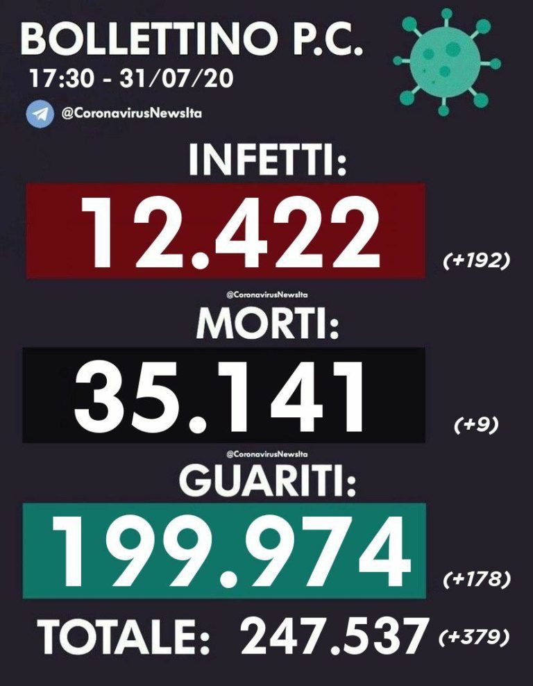 photo_2020-07-31_17-45-49