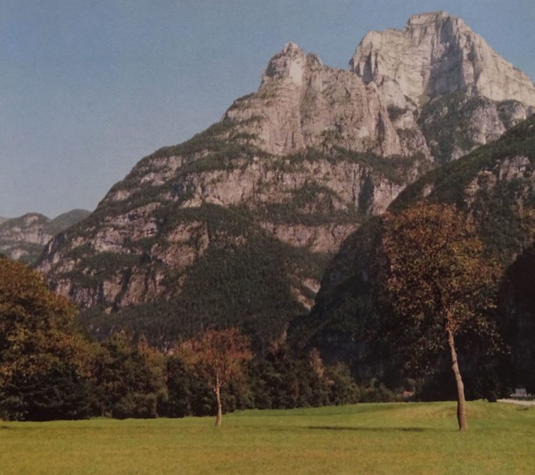 116792036_992749797823094_4224770819247993072_n