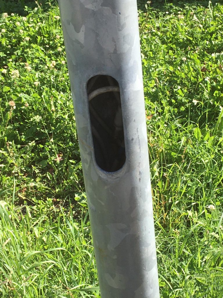 118310672_739843429907315_339955854315046528_n