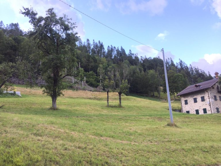 1212e0fe-8725-4373-82cc-c6a258fb4b13