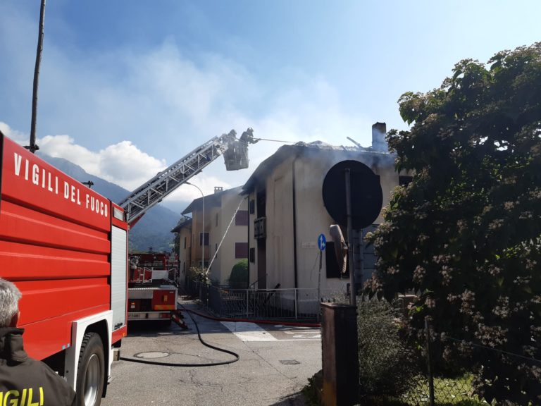 17877086-d0d0-4943-8865-ebb07dfad36b