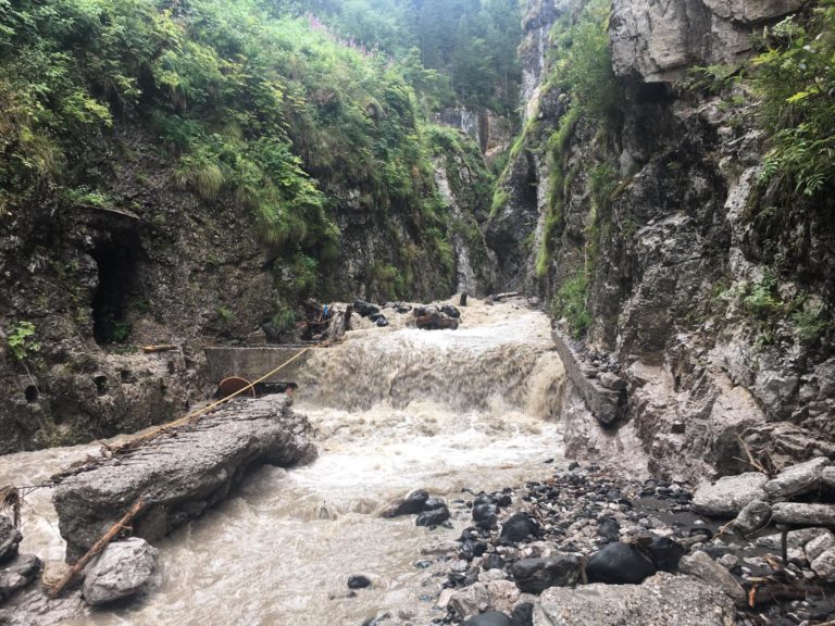 36c33ded-93f9-4798-bfd4-52d99bfa4641