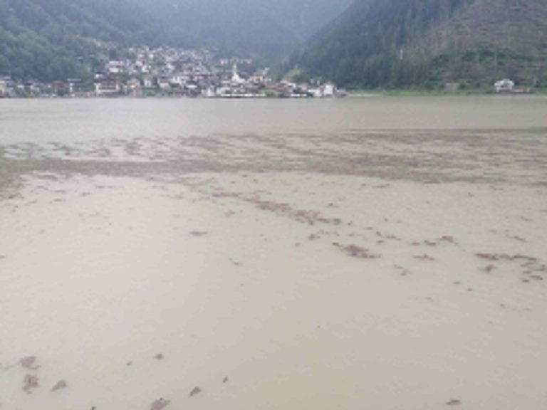 404c95ad-6284-44b2-b082-0161897c7004