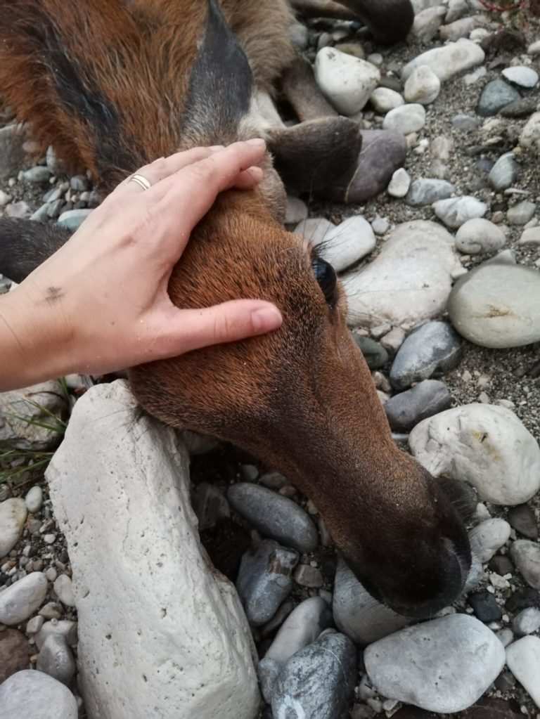 42319134-78e1-4f12-841b-b5b12ff8a0ac