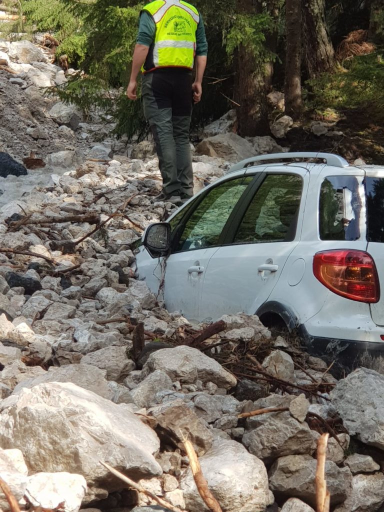 55cde332-8876-43bb-b137-337785d534bb