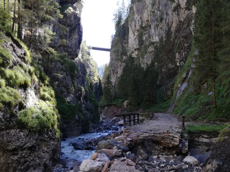 63e5367f-fed1-4a45-9a69-a69491324393