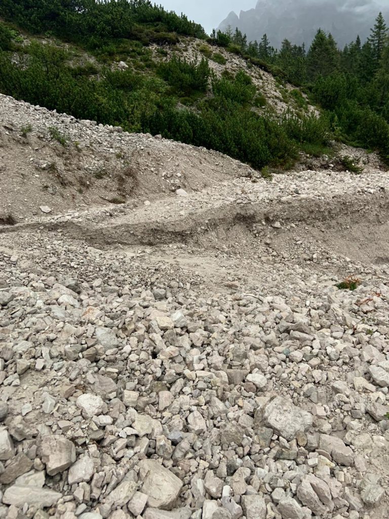 6b7bf555-bd6a-46a6-93eb-eea34e1b0854-1