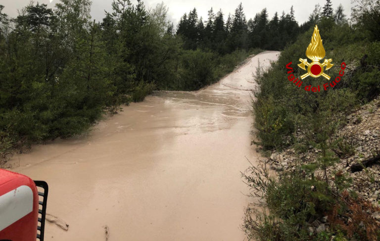 71184b7c-1f88-4169-8af8-793fa5593adb