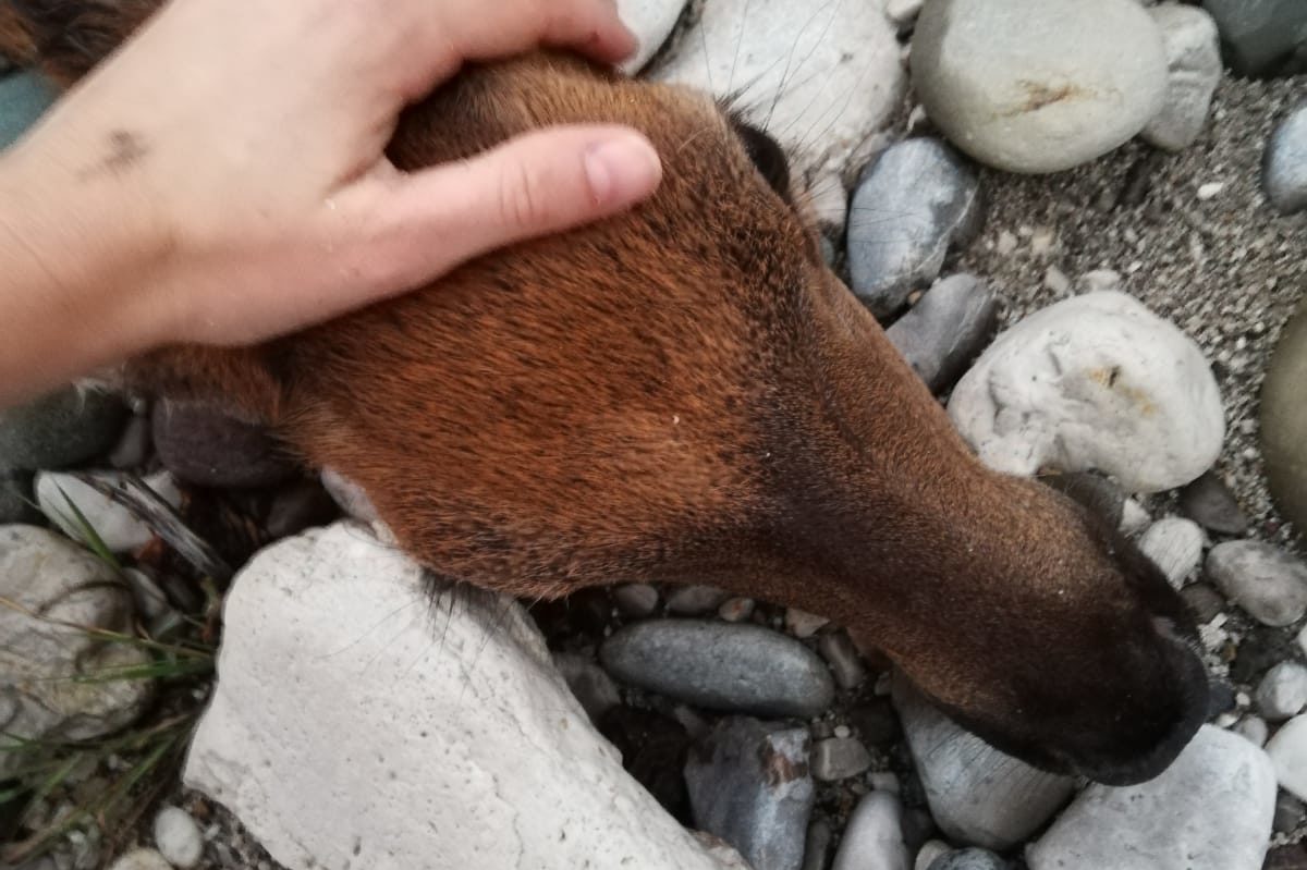 730d33a9-a858-428f-a2fe-e2fd5809e076