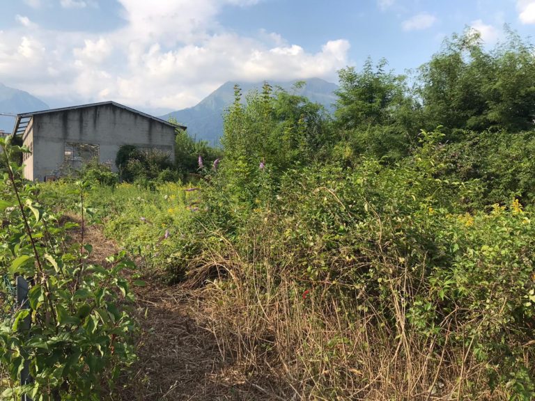 7d8a02f7-5b15-40a3-a505-8e751f54e390