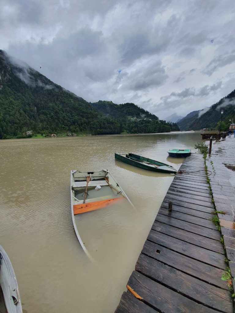 9c593000-bc34-4c4e-bde1-10d29636735b