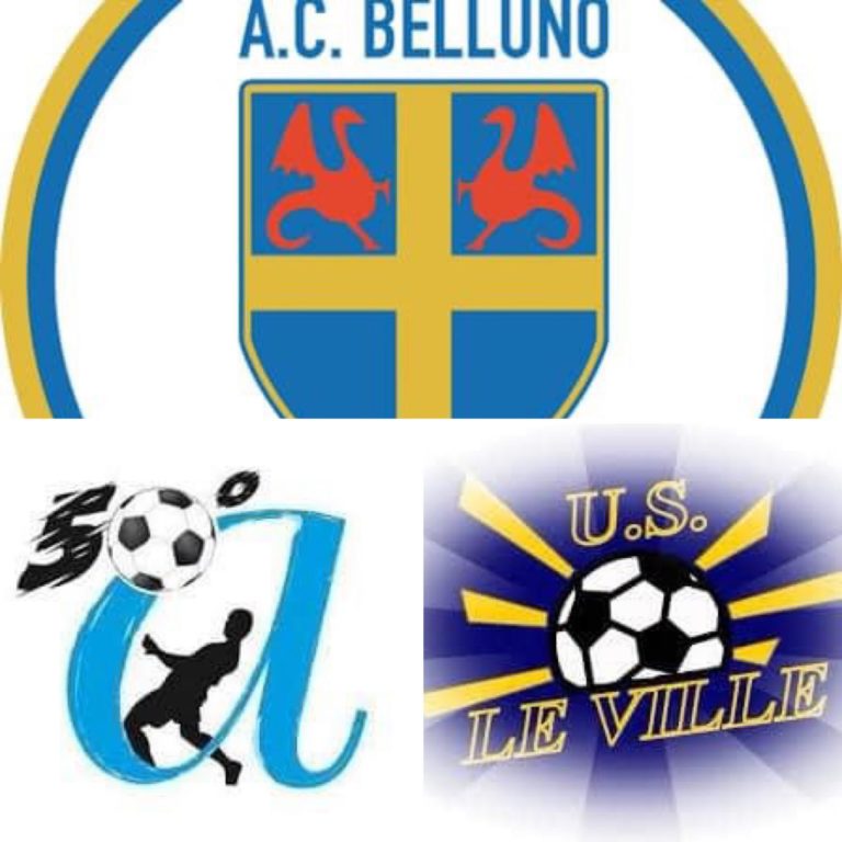 BELLUNO AGORDINA LE VILLE